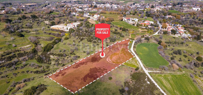 Agricultural field for sale in Paphos