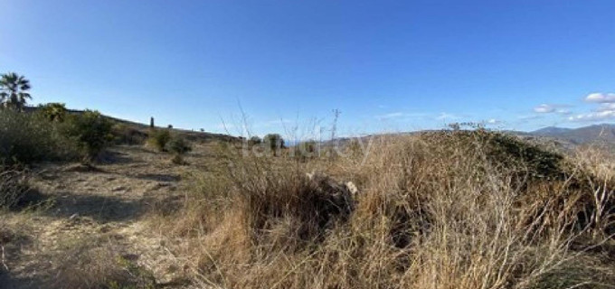 Pole rolne na sprzedaż w Paphos