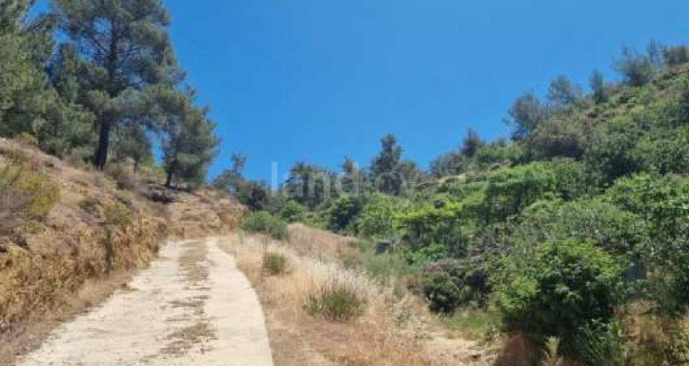 Jordbruksfält till salu i Nicosia