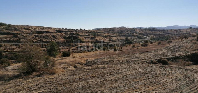 Agricultural field for sale in Nicosia