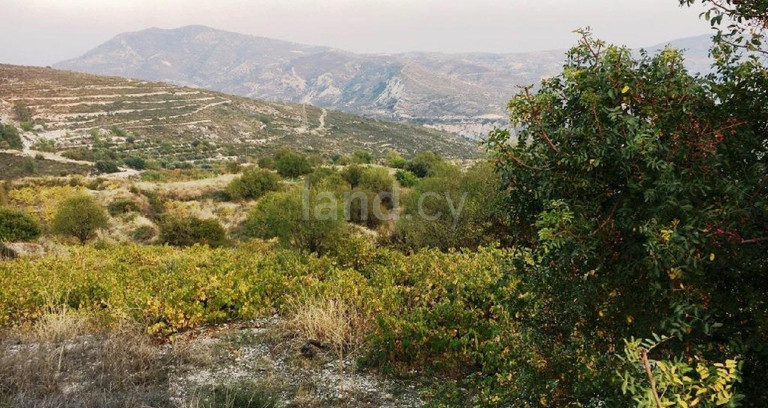 Campo agrícola a la venta en Limassol