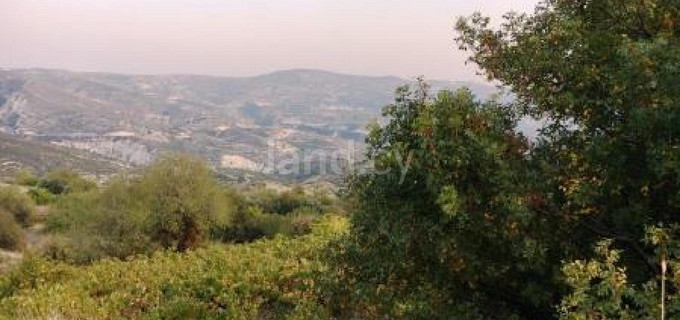 Campo agrícola a la venta en Limassol