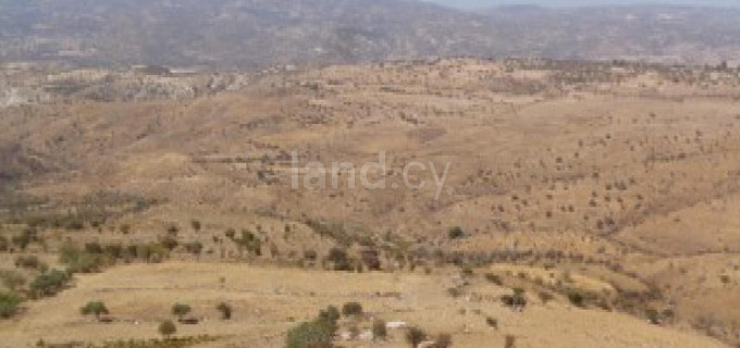 Agricultural field for sale in Paphos