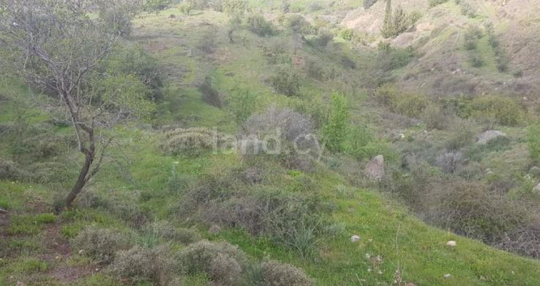 Αγροτικό αγροτεμάχιο προς πώληση - Πάφος