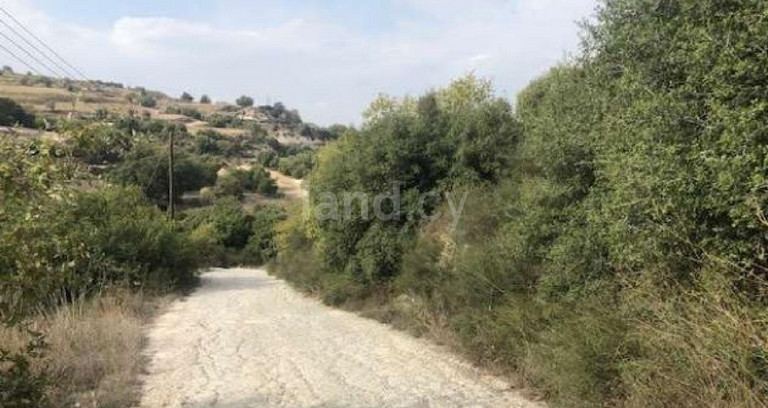 Agricultural field for sale in Paphos