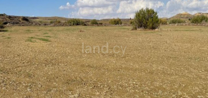 Landwirtschaftliches Baugebiet in Nicosia zu verkaufen