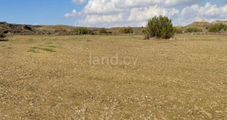 Agricultural field for sale in Nicosia