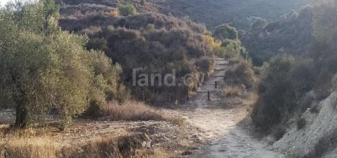 Αγροτικό αγροτεμάχιο προς πώληση - Λεμεσός