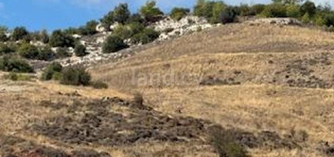 Agricultural field for sale in Paphos