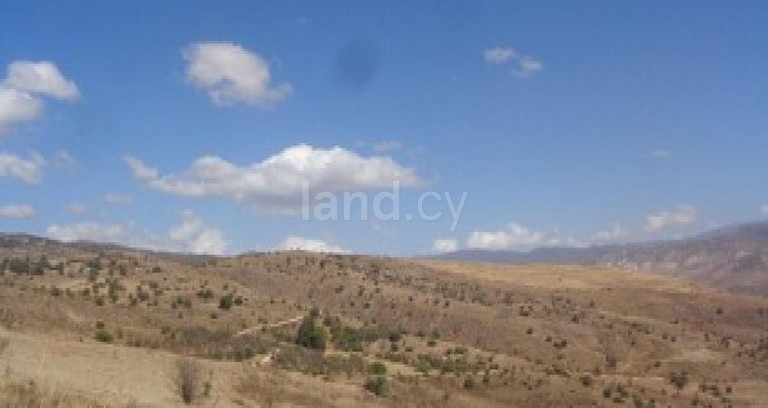 Agricultural field for sale in Paphos