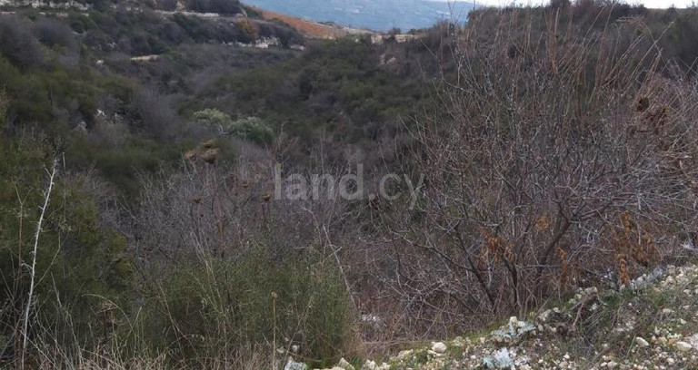 Agricultural field for sale in Limassol