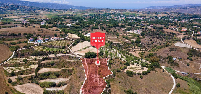 Agricultural field for sale in Paphos