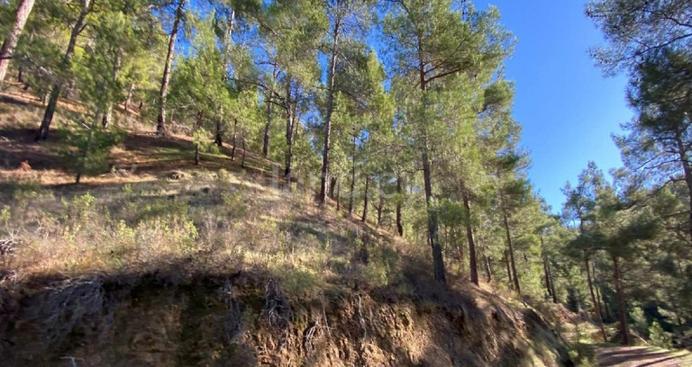 Campo agrícola a la venta en Nicosia