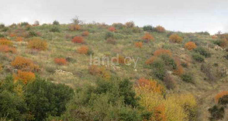 Campo agrícola a la venta en Paphos
