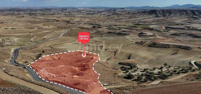 Agricultural field for sale in Nicosia