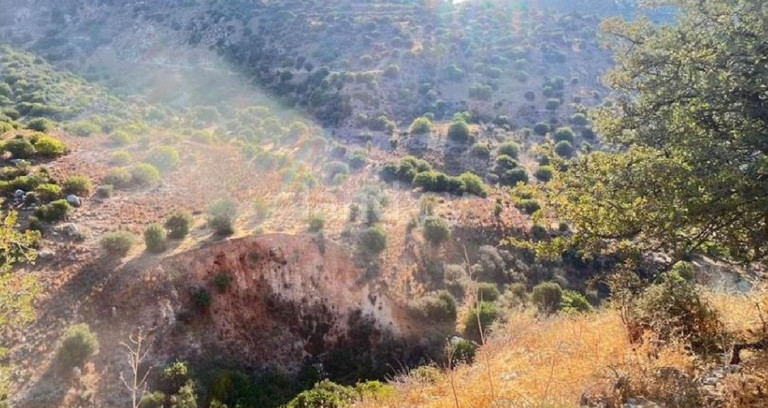 Agricultural field for sale in Paphos