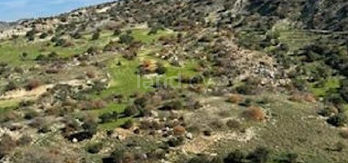 Agricultural field for sale in Paphos