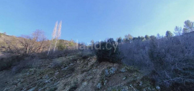 Agricultural field for sale in Nicosia