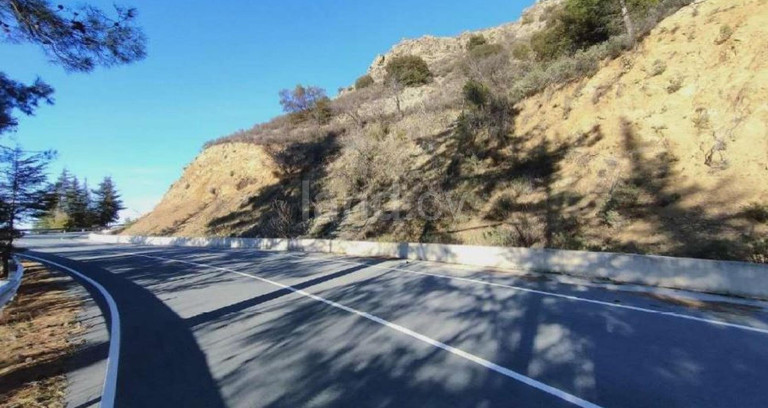 Agricultural field for sale in Nicosia