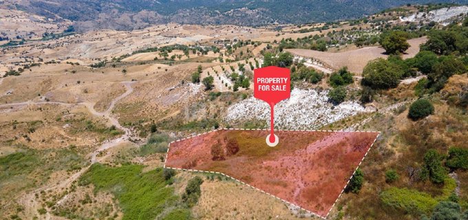 Agricultural field for sale in Paphos