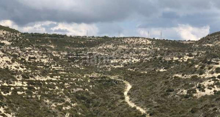 Αγροτικό αγροτεμάχιο προς πώληση - Λεμεσός