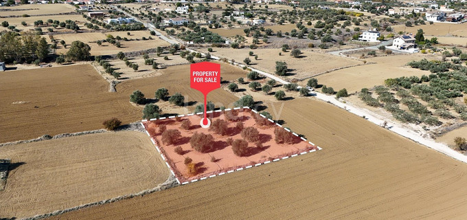 Residential field for sale in Nicosia