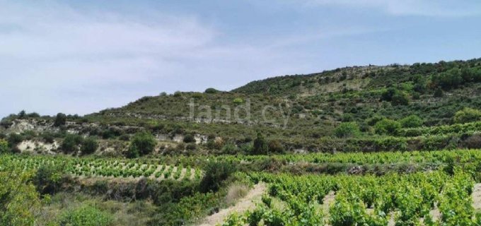 Terrain agricole à vendre à Limassol