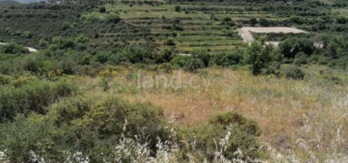 Terrain agricole à vendre à Limassol