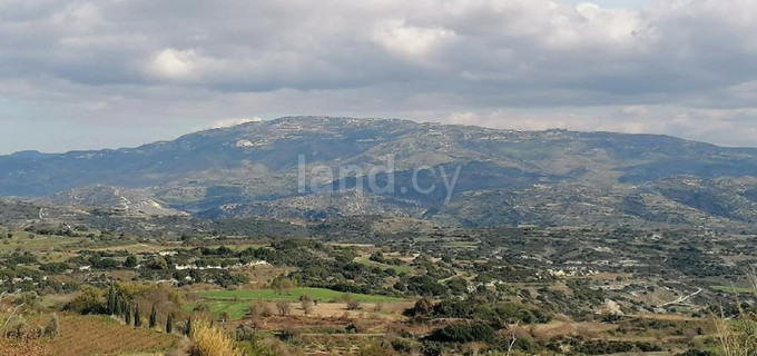 Agricultural field for sale in Paphos