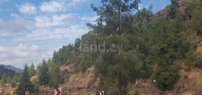 Agricultural field for sale in Limassol