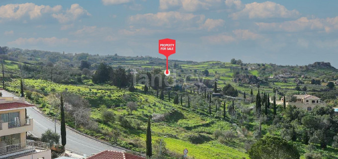Touristic field for sale in Paphos