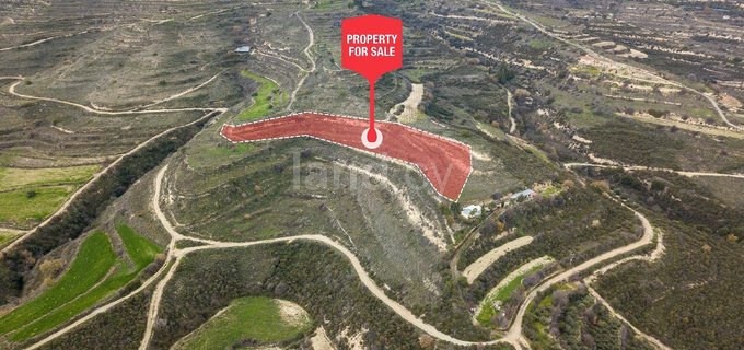 Agricultural field for sale in Limassol
