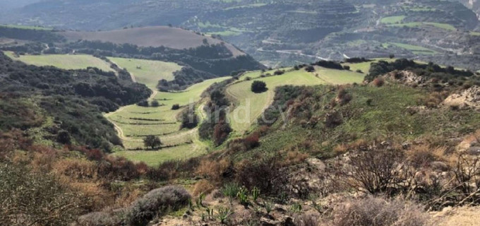 Terrain agricole à vendre à Paphos