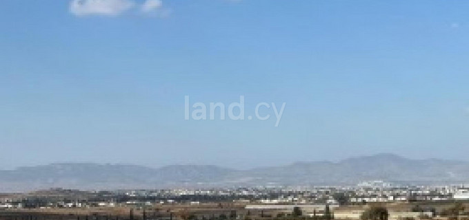 Agricultural field for sale in Nicosia