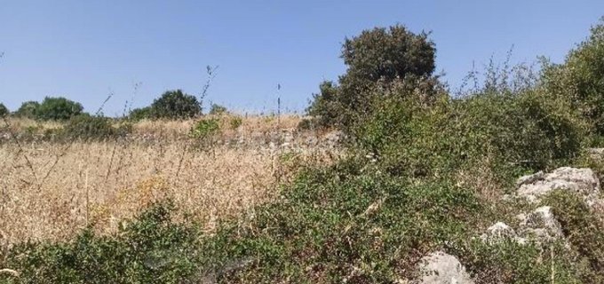 Landwirtschaftliches Baugebiet in Limassol zu verkaufen