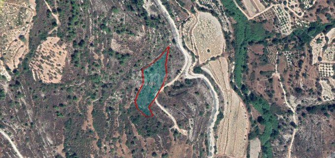 Agricultural field for sale in Limassol