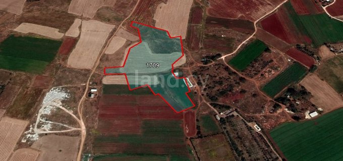 Landwirtschaftliches Baugebiet in Liopetri zu verkaufen
