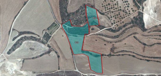 Agricultural field for sale in Larnaca