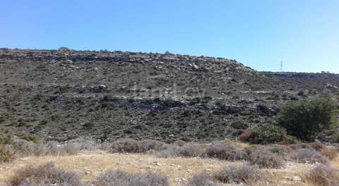 Agricultural field for sale in Limassol