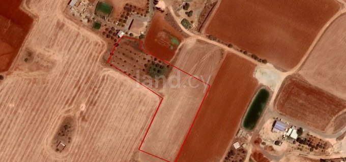 Agricultural plot for sale in Avgorou
