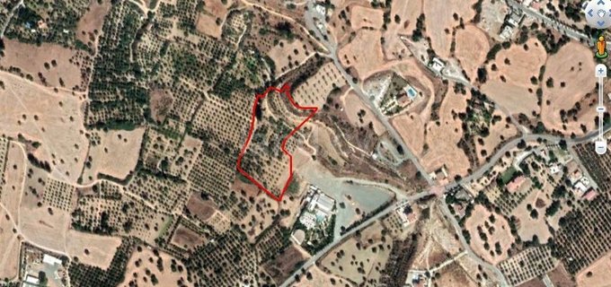Agricultural plot for sale in Larnaca