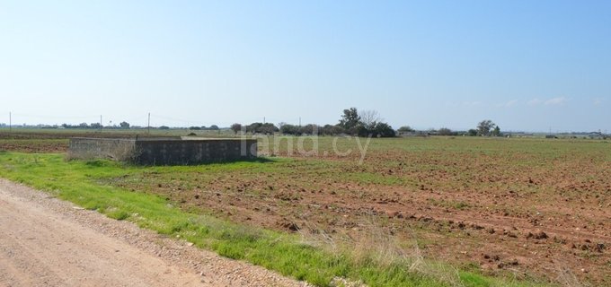 Landwirtschaftliches Baugebiet in Avgorou zu verkaufen