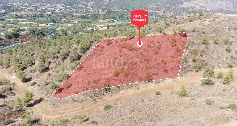 Agricultural field for sale in Nicosia