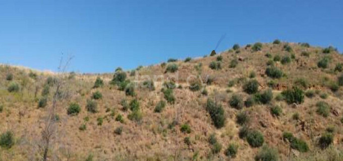 Agricultural field for sale in Larnaca