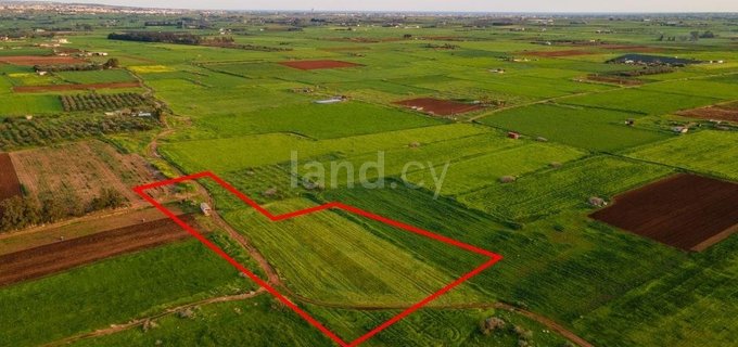 Agricultural field for sale in Avgorou