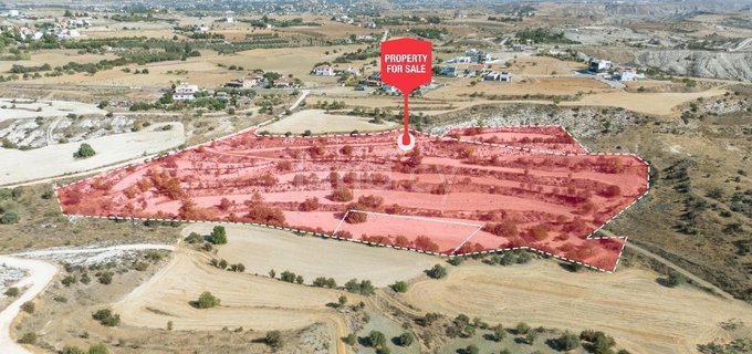 Agricultural field for sale in Nicosia