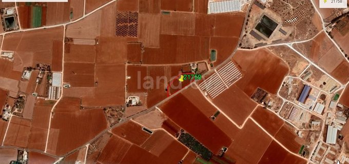 Сельскохозяйственное поле на продажу в Ларнака