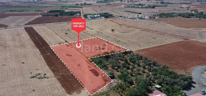 Landwirtschaftliches Baugebiet in Avgorou zu verkaufen