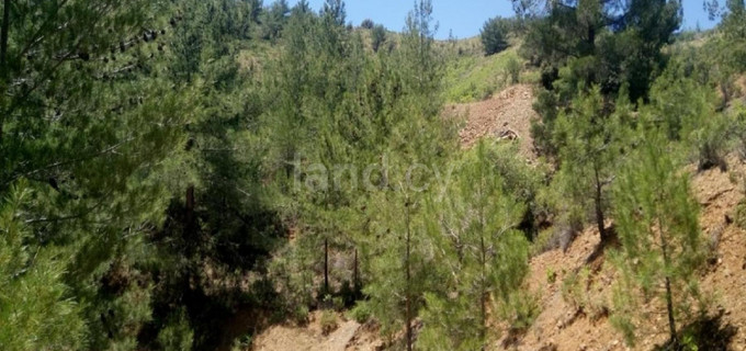 Agricultural field for sale in Nicosia