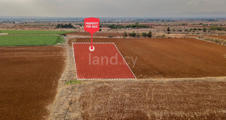 Agricultural field for sale in Frenaros